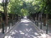 Greek Treat: Nafplio by Train