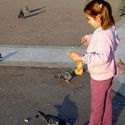 Athens: Feed the Birds