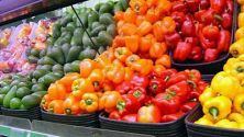 Tips for Vegetarians