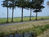 Dutch Flash: May Camping Breaks at VakantieXperts