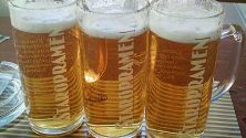 Czech Beer Bellies: Status Report