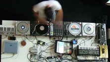 Barcelona Music Flash: Beasties Do Sonar