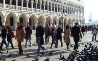 Flip-through: Cheapo tips, Italian tourists, Venice pigeons, & American frogs!