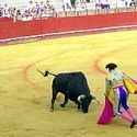 Seville cheap souvenir: Bullfighting poster