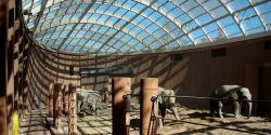 Apes and Architecture: Europe’s most stunning zoos