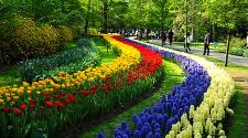Keukenhof: A sweet-smelling daytrip from Amsterdam