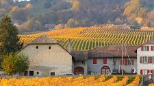 Switzerland by Rail: 2-for-1 deals on the Swiss Pass