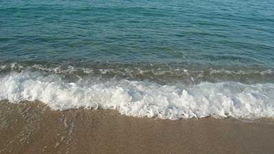 healthy oceans are great
