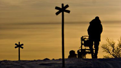 sunset dogsled action