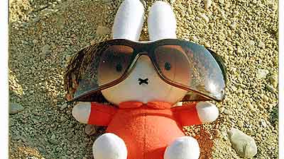 Miffy Glams Up