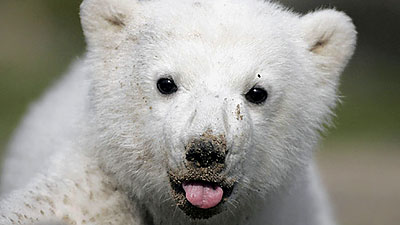 ist das wirklich so?