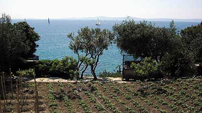 Cliffside garden
