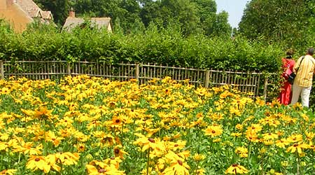 Petit Trianon flowers Petit Trianon Versailles