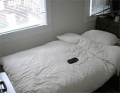 Michael NY, New York, United States