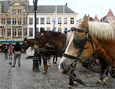 Horses in Markt Square, Bruges