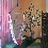 Mandragora Youth Hostel