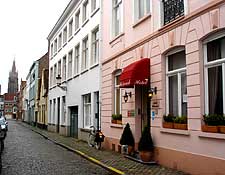 Botaniek, Bruges