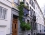 Les Bluets