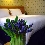 Best Western Burns