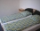 Pension Vilo