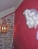 Hotel Le Petit Chatelet
