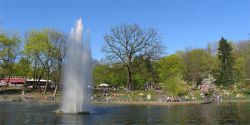 Berlin Parks: Four great spots for sunny weather