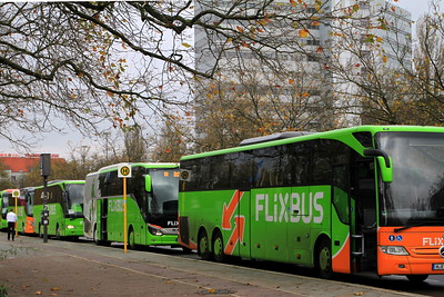 green FliXBuses lined up on a street