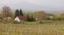 Visiting Slovakia's affordable wine region
