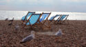 London Day Trip: Visit Brighton for a low-cost seaside getaway