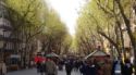 Is La Rambla a Tourist Trap? 5 tips for strolling like a local