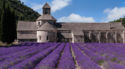 Provence Budget Tips: A moveable feast minus the extravagant costs